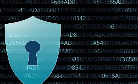 P站破解版科技為產品P站免费看片，值得信賴