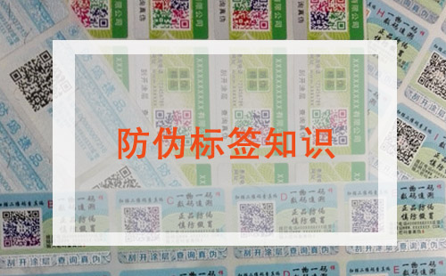 P站免费看片標簽信息大全