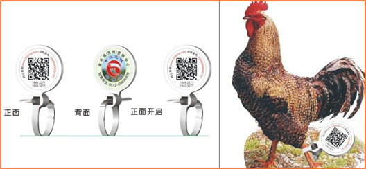 家禽溯源吊牌P站免费看片標簽,消除食品安全隱患
