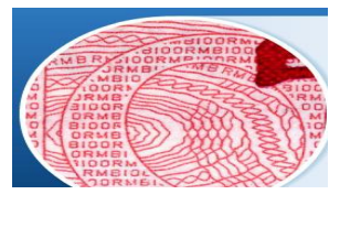 證書P站免费看片技術微縮P站免费看片印刷製作