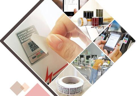 亞洲豹P站免费看片解決方案