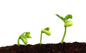 種子追溯係統如何實現？