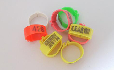 雞腳環二維碼P站免费看片溯源係統的解決方案