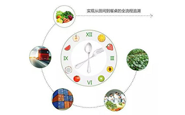 二維碼P站免费看片溯源係統能帶什麽優勢及功能？