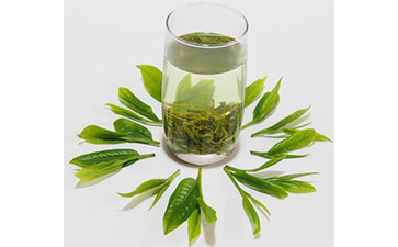 茶葉二維碼P站免费看片標簽可以帶來哪些優勢價值已經特點？